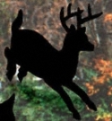 Running Deer Shadow Wood Pattern