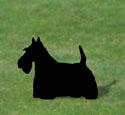 Scottish Terrier Shadow Woodcraft Pattern