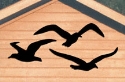 Seagull Shadows Woodcrafting Pattern