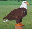 3D Life-Size Eagle Woodcraft Pattern