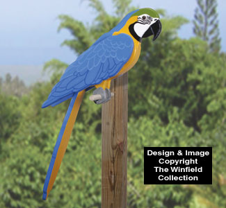 3D Life-Size Blue Macaw Wood Pattern 