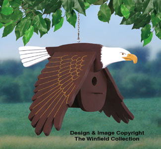 Flying Eagle Birdhouse Woodcraft Pattern