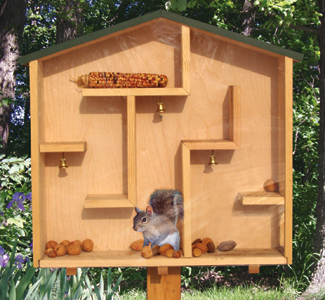 A-Mazing Squirrel House Wood Plan