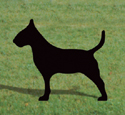 Bull Terrier Shadow Woodcrafting Pattern