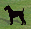 Airedale Terrier Shadow Wood Pattern