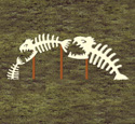 Scary Skeleton Fish Pattern