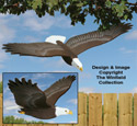 3D Life-Size Flying Eagle Pattern